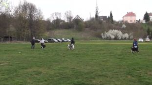 Luckyme Crossrunners Luckyme Crossrunners
