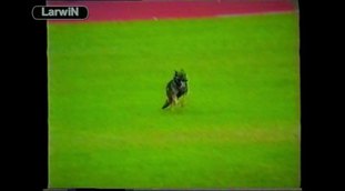 Daxter vom Körbeltal Daxter vom Körbeltal