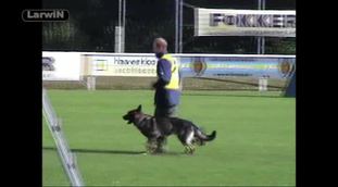 Ferro vom Klüttenplatz Ferro vom Klüttenplatz