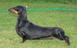 Alpheratz Catwalk Alpheratz Catwalk