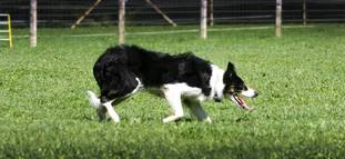 Mawlch Lynn Mawlch Lynn
