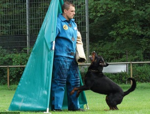Don vom Schandpfahl Don vom Schandpfahl
