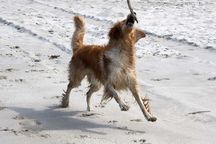 Bild von Jule vom Julienhof