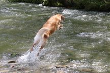 Bild von Jule vom Julienhof