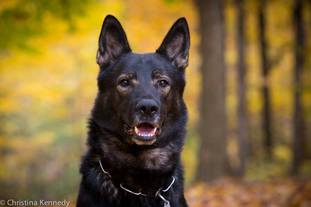 Jack van de Biezenhoeve Jack van de Biezenhoeve