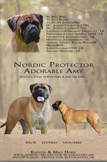 Nordic Protector Adorable Amy Nordic Protector Adorable Amy