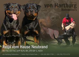 Reija vom Hause Neubrand Reija vom Hause Neubrand
