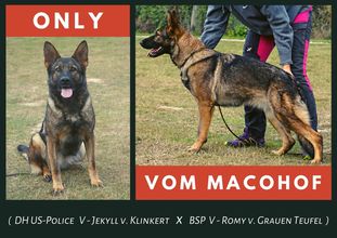 Only vom Macohof Only vom Macohof
