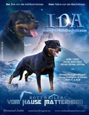 Ida von der Mühlbachstrasse Ida von der Mühlbachstrasse