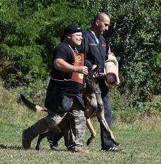 Enzo Dorus Canis Enzo Dorus Canis