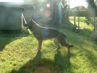 Greta von der schwarzen Irma Greta von der schwarzen Irma