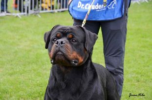 Monster von Hause Leroy Monster von Hause Leroy