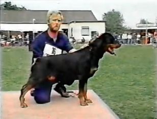 Ronja vom Herberner Land Ronja vom Herberner Land