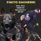 Finito Dacherri