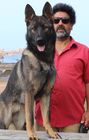 Afshin Alaghehband