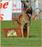 E'Red Bull du Banc des Hermelles