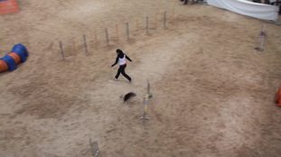 A Kung-Fu Panda Ponad Wszystko A Kung-Fu Panda Ponad Wszystko