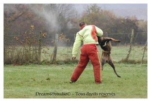 Fredo du Banc des Hermelles Fredo du Banc des Hermelles