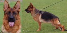 Xena von Cohinor