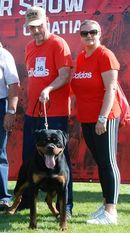 Johnny von der Maxi Rott Johnny von der Maxi Rott