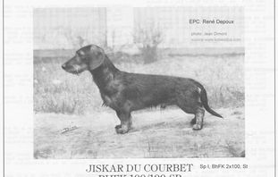 Jiskar du Courbet Jiskar du Courbet