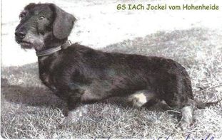 Jockel von Hohenheide Jockel von Hohenheide
