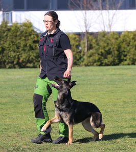 Hermine vom Münzspiel Hermine vom Münzspiel