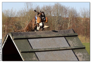 Atilde DK 21887/2007 Atilde DK 21887/2007