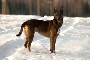 Pysäkin Gamu Pysäkin Gamu