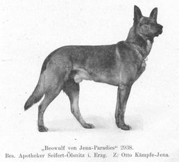 Beowulf von Jena-Paradies Beowulf von Jena-Paradies