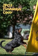 Finnways Coco Finnways Coco