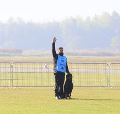 Goran vom Fuhrenblick Goran vom Fuhrenblick