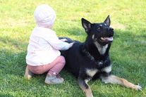 Leska vom Barbatus