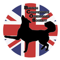 BCOS Obedience Competitions