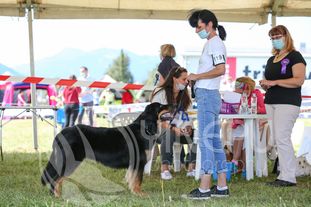 Rea ex Horto Albo Rea ex Horto Albo