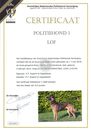 Cert.PH-1Nicky.jpg