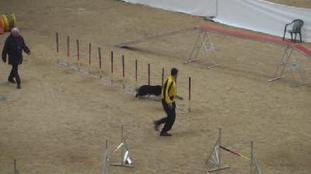 Agility Joy Vitality Agility Joy Vitality