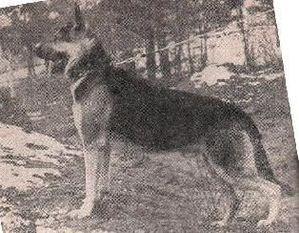 Ralf (Chekhmeystrenko) Ralf (Chekhmeystrenko)