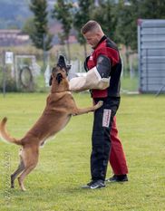 Brisco vom Hirschbirnweg Brisco vom Hirschbirnweg