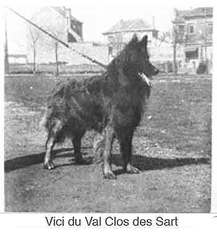 Vici du Val des Clos Sarts Vici du Val des Clos Sarts