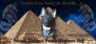 Anubis von Auric de Bonilla Anubis von Auric de Bonilla