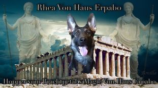 Rhea von Haus Erpabo Rhea von Haus Erpabo