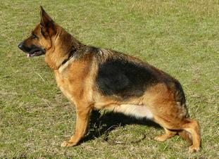 Dakota von Buchhorn Dakota von Buchhorn