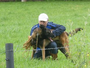 Masso van het Berkenmeer Masso van het Berkenmeer