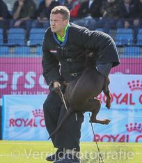 Colonel Cajo vom Schlossrudwalde Colonel Cajo vom Schlossrudwalde