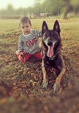 Canina Force Canina Canina Force Canina