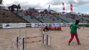 Chanelle LOP 371769 (Guedes) Chanelle LOP 371769 (Guedes)