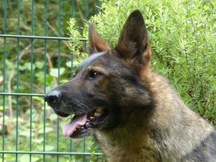 Nele von der Geißheide Nele von der Geißheide