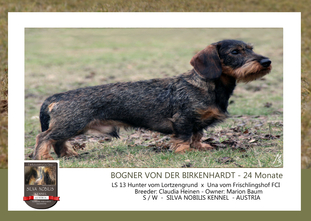 Bogner von der Birkenhardt Bogner von der Birkenhardt