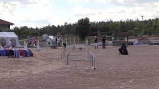 Arkosligeti Kocos Zsindely Arkosligeti Kocos Zsindely